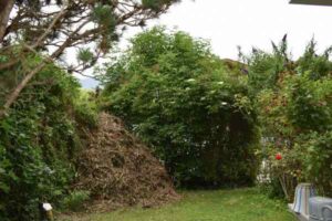 Ideen zur Gartengestaltung