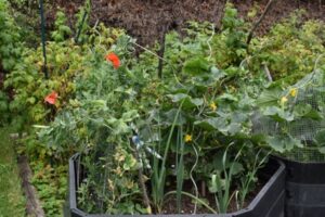 Ideen zur Gartengestaltung