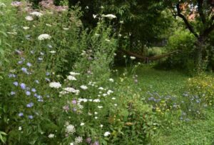 Ideen zur Gartengestaltung