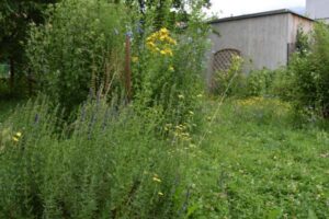 Ideen zur Gartengestaltung