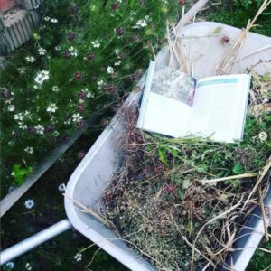 Diese Bücher über nachhaltiges Leben, die ich heute empfehle, kommen alle aus dem kleinen, aber sehr feinen Innsbrucker Löwenzahn Verlag.