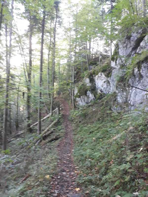 Familienwanderung Oberaudorf zum Wallerhof