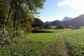 Familienwanderung Oberaudorf zum Wallerhof