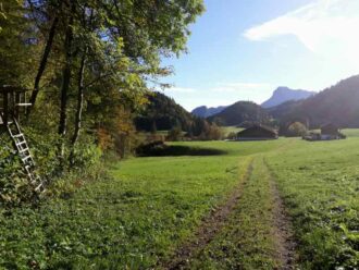 Familienwanderung Oberaudorf zum Wallerhof