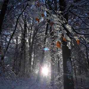 Tipps gegen Weihnachtsstress