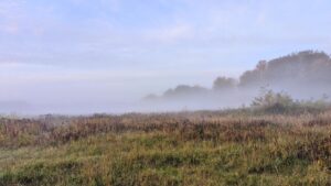 Waldübernachtung mit Kindern