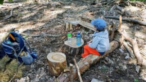 Waldübernachtung mit Kindern