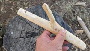 Waldübernachtung mit Kindern